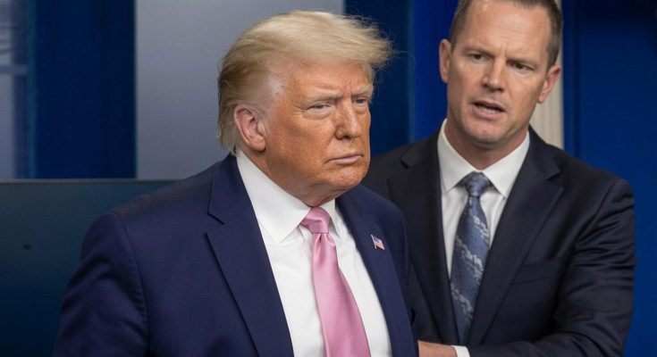 ABC Anchor Admits Truth As Trump’s DC Crackdown Yields Big ResultsS